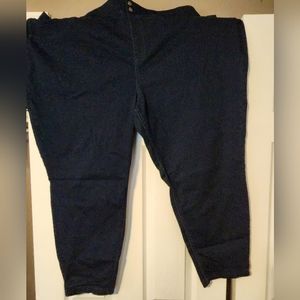 Terra & Sky Jeggings